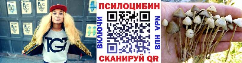 наркошоп  Бородино  Псилоцибиновые грибы прущие грибы 