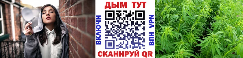 Каннабис SATIVA & INDICA  Бородино 